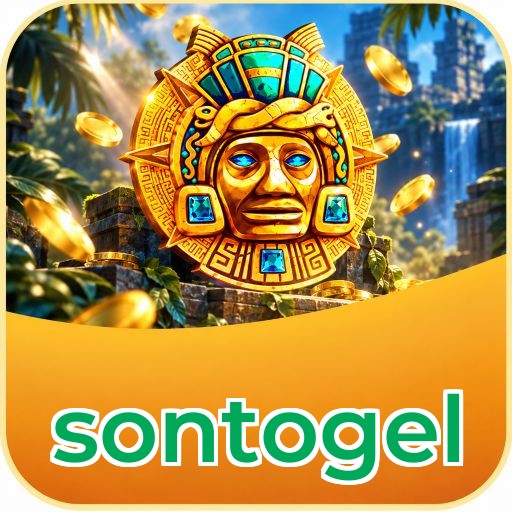 Screenshot 8 - sontogel Dashboard